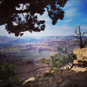 Meet your Posher, Robin